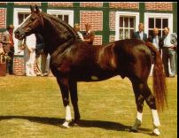 Great Grand Sire